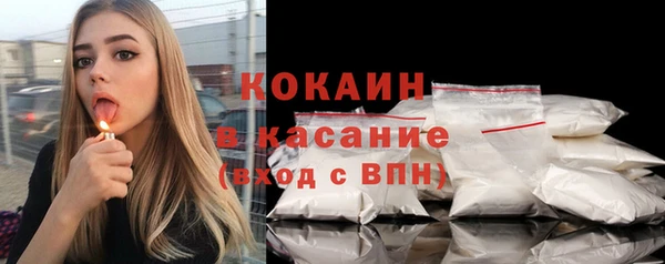 шишки Балахна