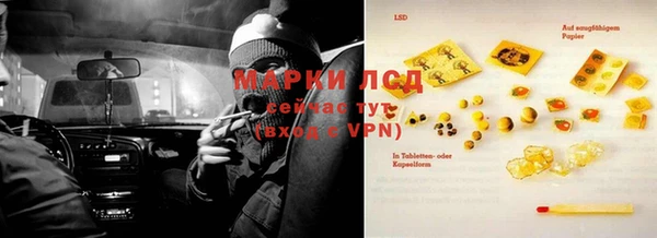 прущие грибы Балабаново