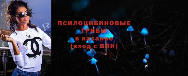 шишки Балахна