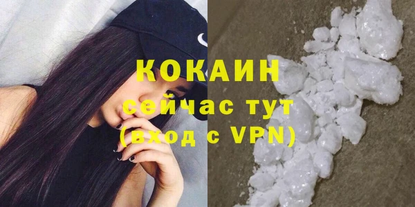 прущие грибы Балабаново