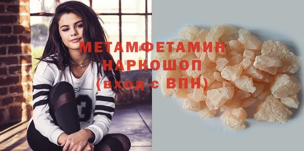 прущие грибы Балабаново
