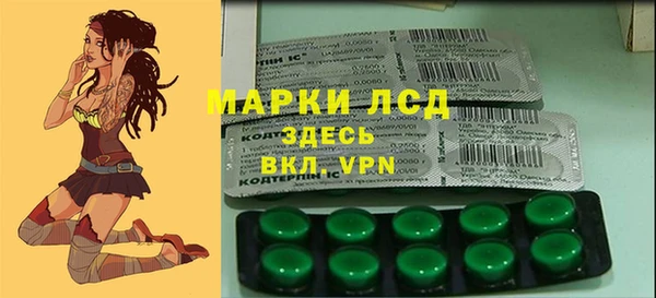 прущие грибы Балабаново