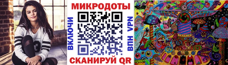 Псилоцибиновые грибы Psilocybe  Бирск 