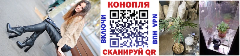 хочу   Бирск  Бошки Шишки план 